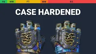 Hydra Gloves Case Hardened - Skin Float And Wear Preview