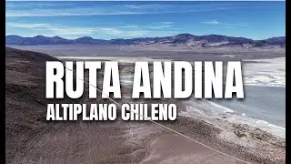RUTA ANDINA ALTIPLANO CHILENO - SALAR DE HUASCO - 🌍 SIGOVIAJE