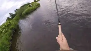 Douglaston Salmon Run Labor Day 2019