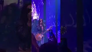 lenny kravitz live #livemusic #concerts #liveshow #concertlive #singing #song #shorts