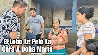 Doña Marta Se Quedó Ida Porque El Lobo Bien Encabronado Le Pelo La Cara Por Tonta?