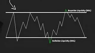 How to Trade in the Forex Industry