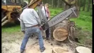 Суровые дровосеки