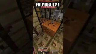 НОВАЯ ЛОВУШКА ЧЕЛЮСТИ | ТРАПЕР ШОУ на Сервере FUNTIME REALLYWORLD HOWEMINE