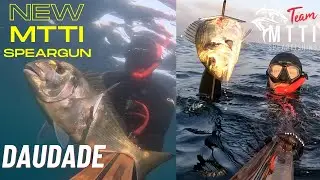Chasse sous marine Marseille 2023/ pescasub /Daurade / Orata