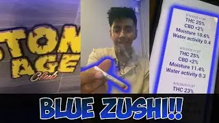 Blue Zushi (ES) Stone age Bcn  Review #207