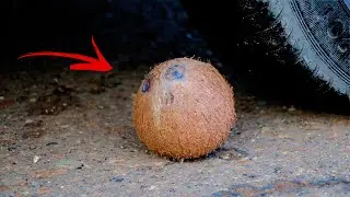 Crushing Crunchy & Soft Things by Car! - EXPERIMENT: CAR VS COCONUT
