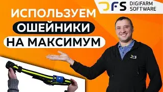 Как эффективно использовать ошейник HEATIME