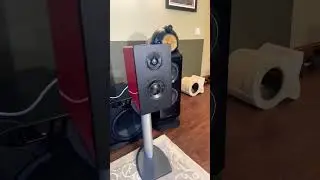 Демонстрация звучания Starke Sound Halo M1: Потрясающая чистота звука и огромная звуковая сцена! ...