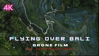 FLYING OVER BALI - Drone Film -  ULTRAHD60FPS - 4K