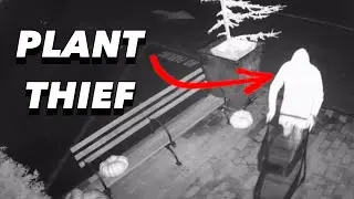 Catching a Plant Thief with an AirTag