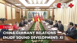 China Germany Relations Enjoy Sound Development: Xi