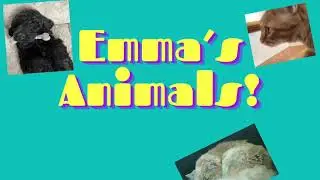 Emma&rsquo;s Animals!