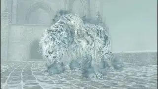 DARK SOULS II: Ava Boss Fight
