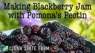 Приготовление джема из ежевики с пектином Pomona