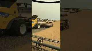Canola Harvest #farming #johndeere #agriculture #harvestor #canola #newholand #combine #tractor