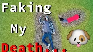 Faking My Death In Front of My Dog (Funny Dog Reaction)  | Derek554