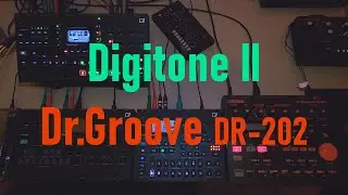 Industrial Elektron Digitone II & BOSS Dr.Groove DR-202 😘
