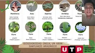 IMPACTO AMBIENTAL AMAZONIA PERUANA