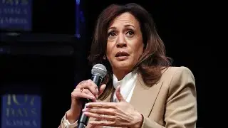 Kamala Harris running in 2028 election compared to &lsquo;phantom limb syndrome&rsquo;