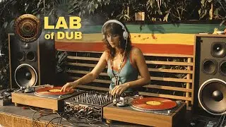 Dub & Roots Reggae Session | Vinyl Echo Grooves for Chill & Focus