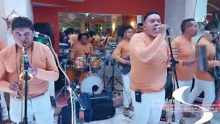 LOS CLÁSICOS MARIOS 
