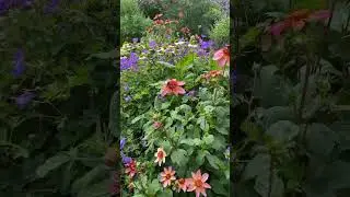 UK Front garden design ideas #music #frontgarden #nodiggardening #lowmaintenance #growyourown