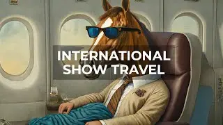 How We Safely Travel Our Horses Across the Globe for International Shows