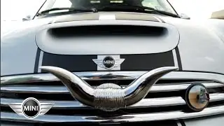 You-ification | MINI TAKES THE STATES (MTTS) 2014