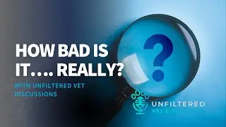 How Bad Is It…. Really?