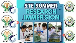 Летнее научно-исследовательское погружение STE в SANHS