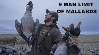 1000's of Minnesota GREENHEADS Came! Duck Hunting 2018