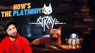 How's The Platinum? - Stray [Platinum Trophy Review]
