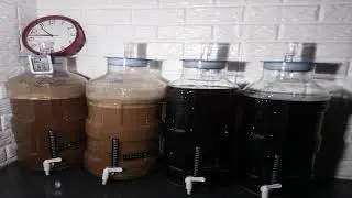 Oktoberfest Lager vs Kveik Fermentation