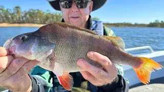 Redfin Perch Fishing. They can't resist this bait! #fishing