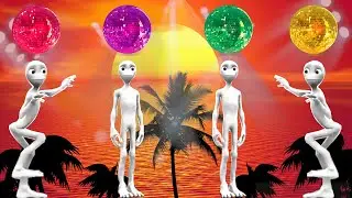 patila dance - patila wrong heads - disco wrong heads