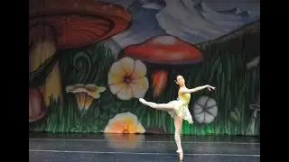 PDA 16th Annual Spring Showcase Promo. Video by Bob Finkelstein
