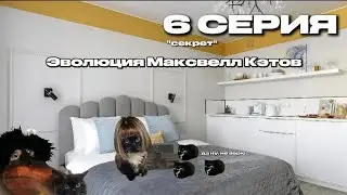 Эволюция Максвелл Кэтов | 6 часть | Mr.Maxwell cat |