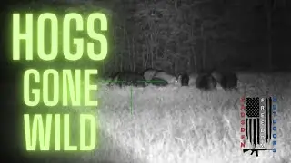 Compilation of Hog Hunting Videos #Hunting #hog #atn