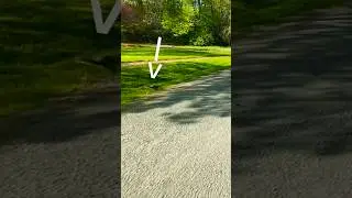 Just a fat man on a skinny bike&hellip;SQUIRREL! #mountainbike #bicycle #shorts #trail #ride #easy #fatman