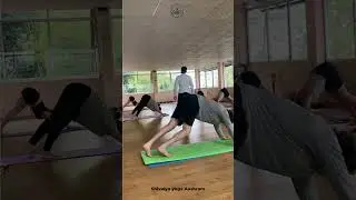 Discover Inner Peace at Shivalaya Yoga Ashram | Yoga Retreat in the Heart of Nepal 🇳🇵🧘&zwj;♀️