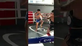 Effective Muay Thai Teep drill. Fight EVO360