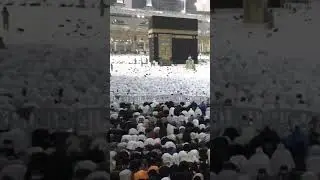 A Live Stream of #maghrib prayer where #muslim seek a moment of closeness to the creator #livemacca