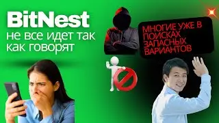Пирамида или шанс разбогатеть? Почему уходят из BitNest.