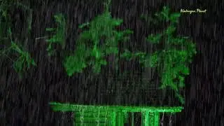 🌧️🏠 Pure Rain on Roof for Sleep | Cozy Natural Rain Sounds All Night