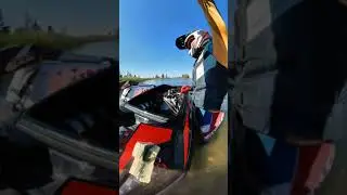 ninja 1200 rickter xfs