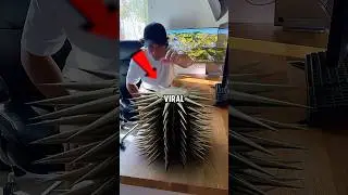 Этот &laquo;невозможный&raquo; трюк с деревом был полностью создан с помощью компьютерной графики?😱 #работапо...