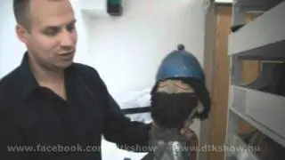 De mit keres Kriszta a Bábtárban?