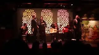 Flamenco Dance, Madrid Spain -III
