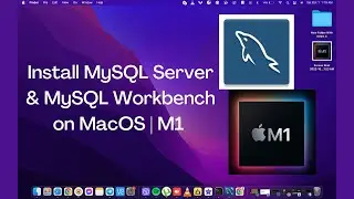 Установка MySQL Server и MySQL Workbench на Mac Macbook M1 | MacOS Monterey